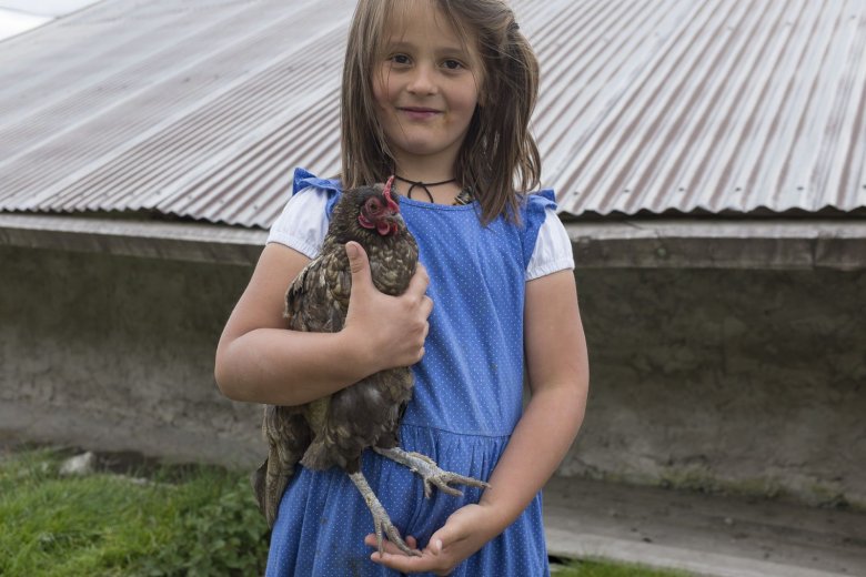 De kippen krijgen ook aandacht: kleindochter Tamia zorgt met veel plezier voor de dieren op de alm. 