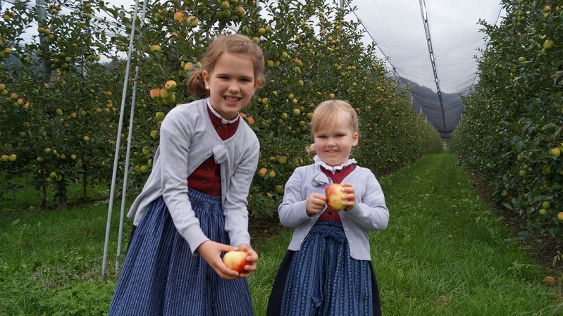 De appeloogst wordt met een groot feest gevierd in Dölsach