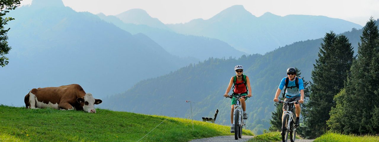 Mountainbiken Kaiserwinkl, © Tirol Werbung/Alexander Ziegler