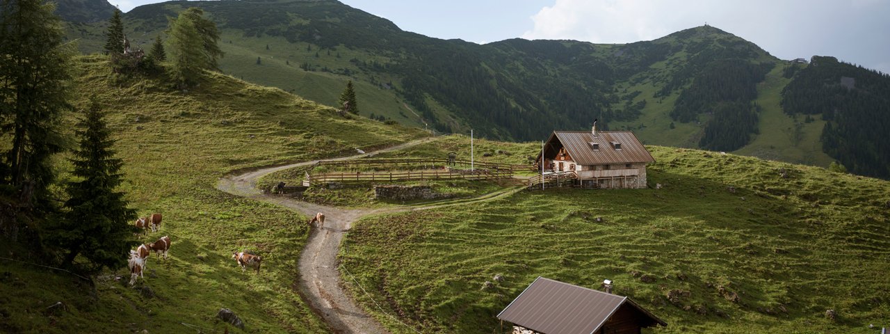 Bergalm im Rofan, © Tirol Werbung Jens Schwarz