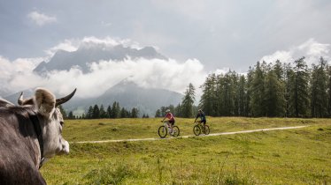 Met de mountainbike naar de Tuftalm, © Zugspitz Arena Bayern-Tirol/Joe Hoelzl