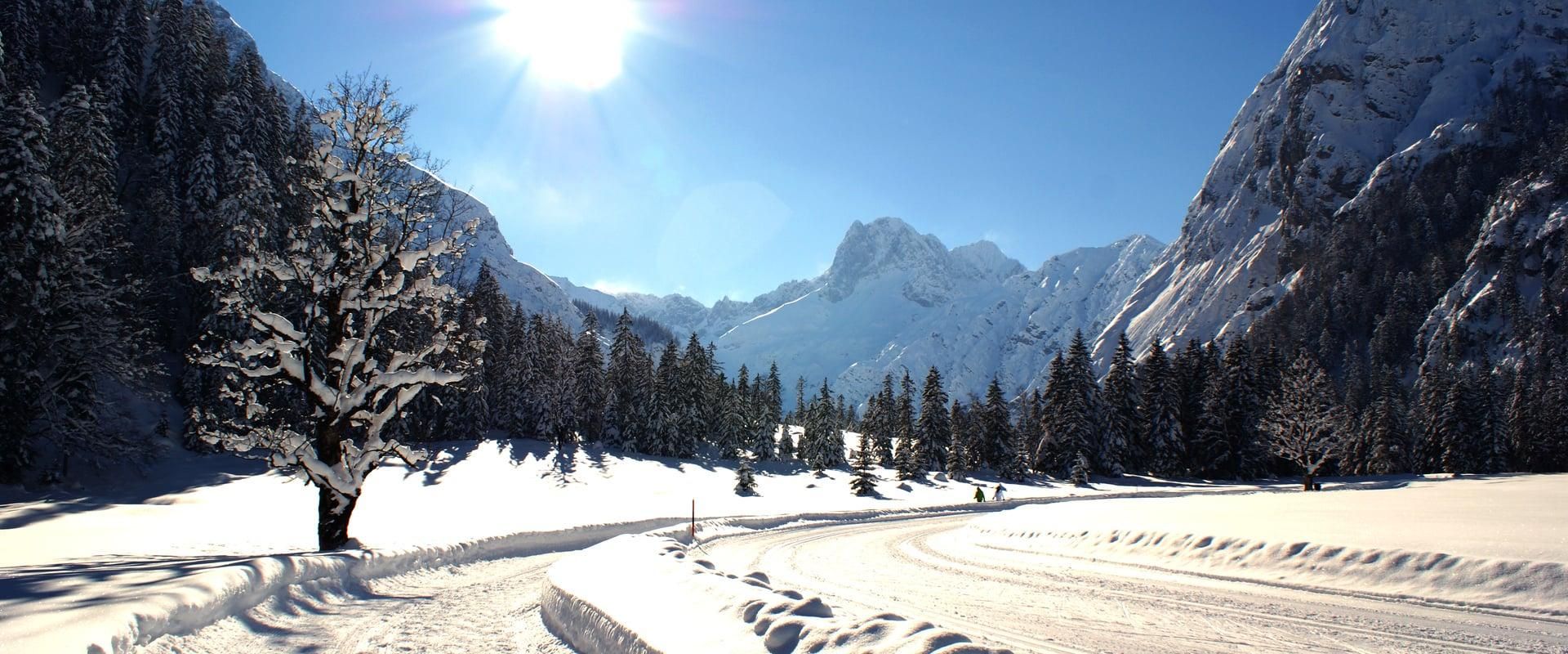 A beautiful snowy winter forest with snow-covered trees and mountains in the background. The sun shines brightly in the clear blue sky.