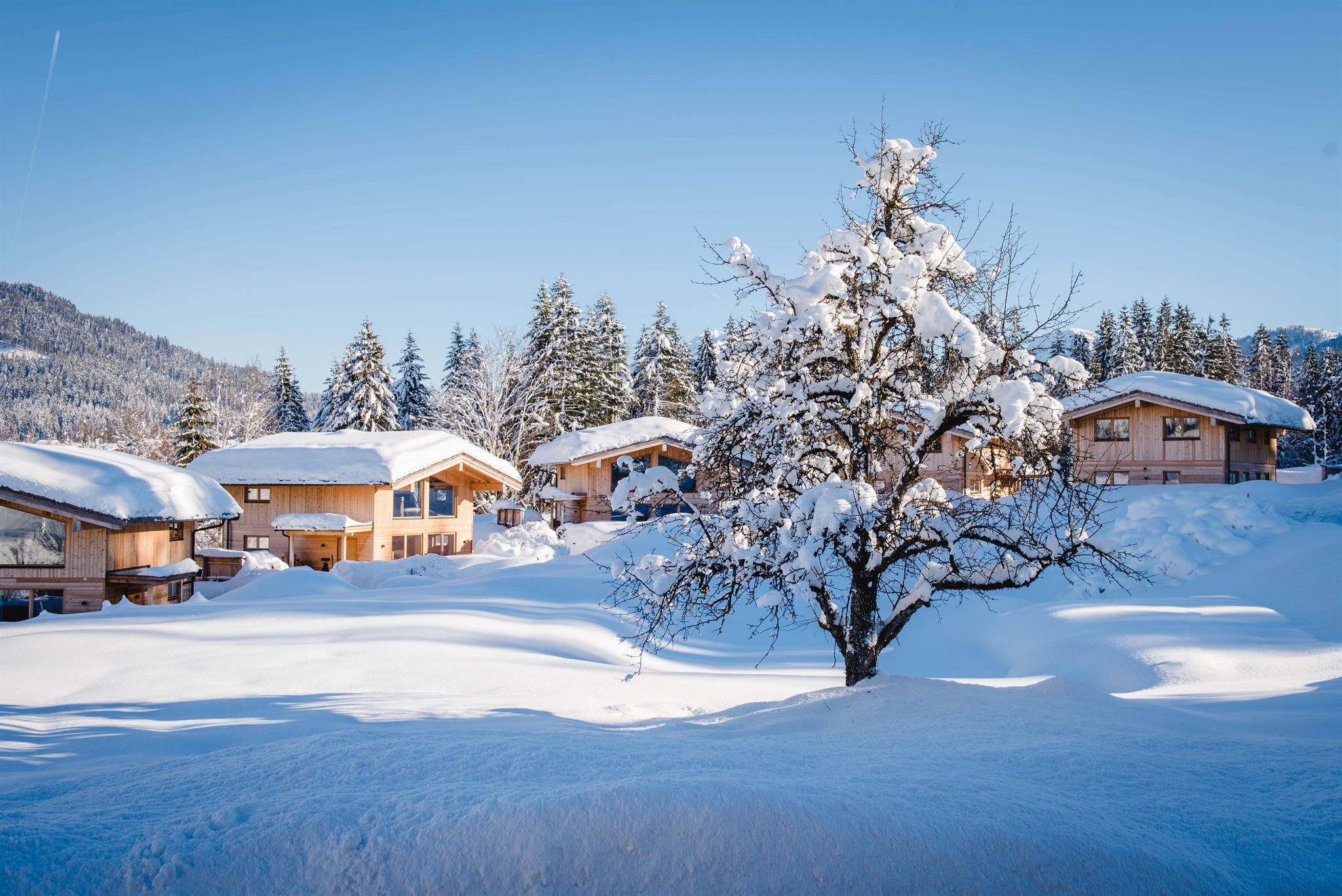 A picturesque winter landscape with snow-covered houses and a tree. The clear blue sky complements the serene atmosphere.