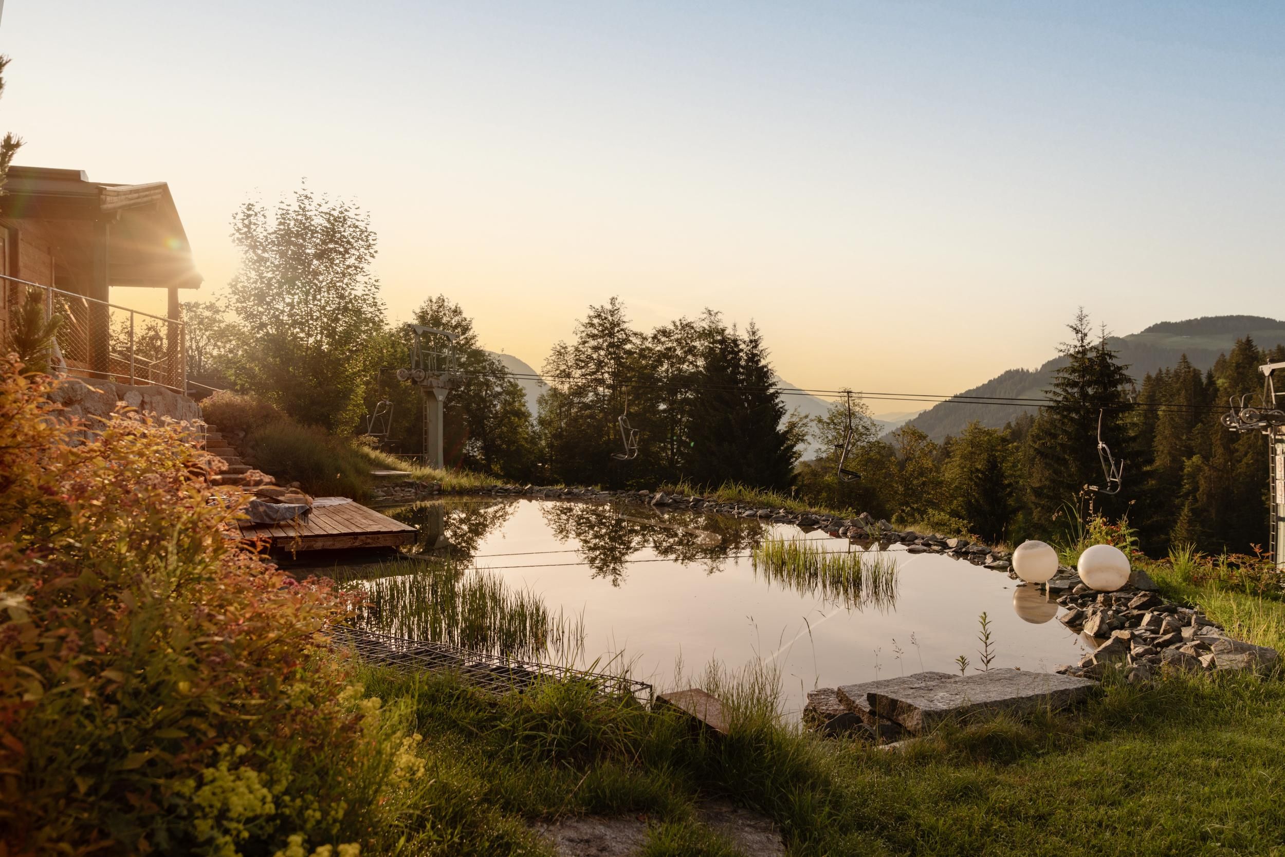 A quiet garden with a pond and surrounding trees. In the background, a gentle hill landscape is visible at sunset.