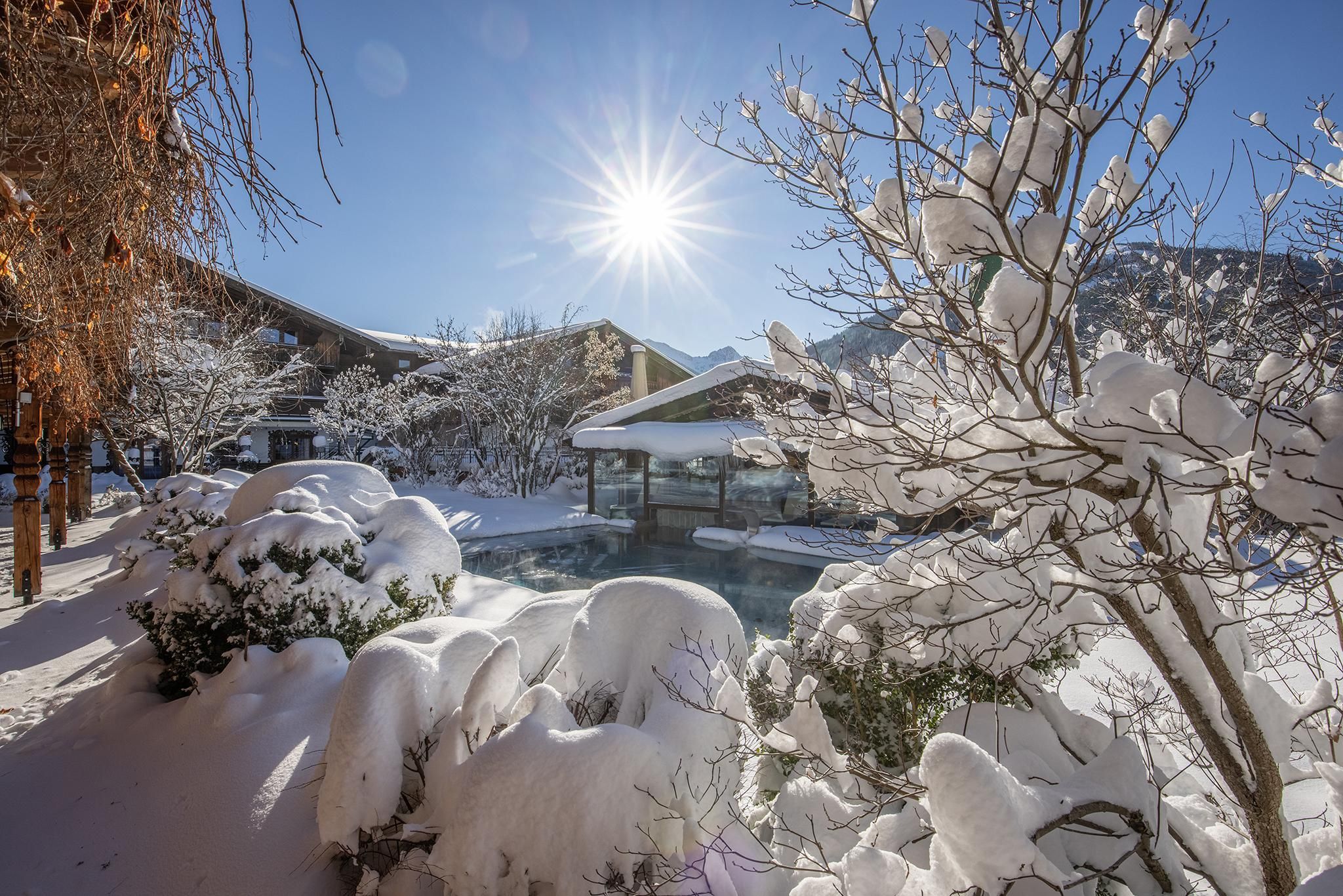 A snowy landscape with a clear sky and bright sun. In the foreground, snow-covered bushes and a calm area with water can be seen.