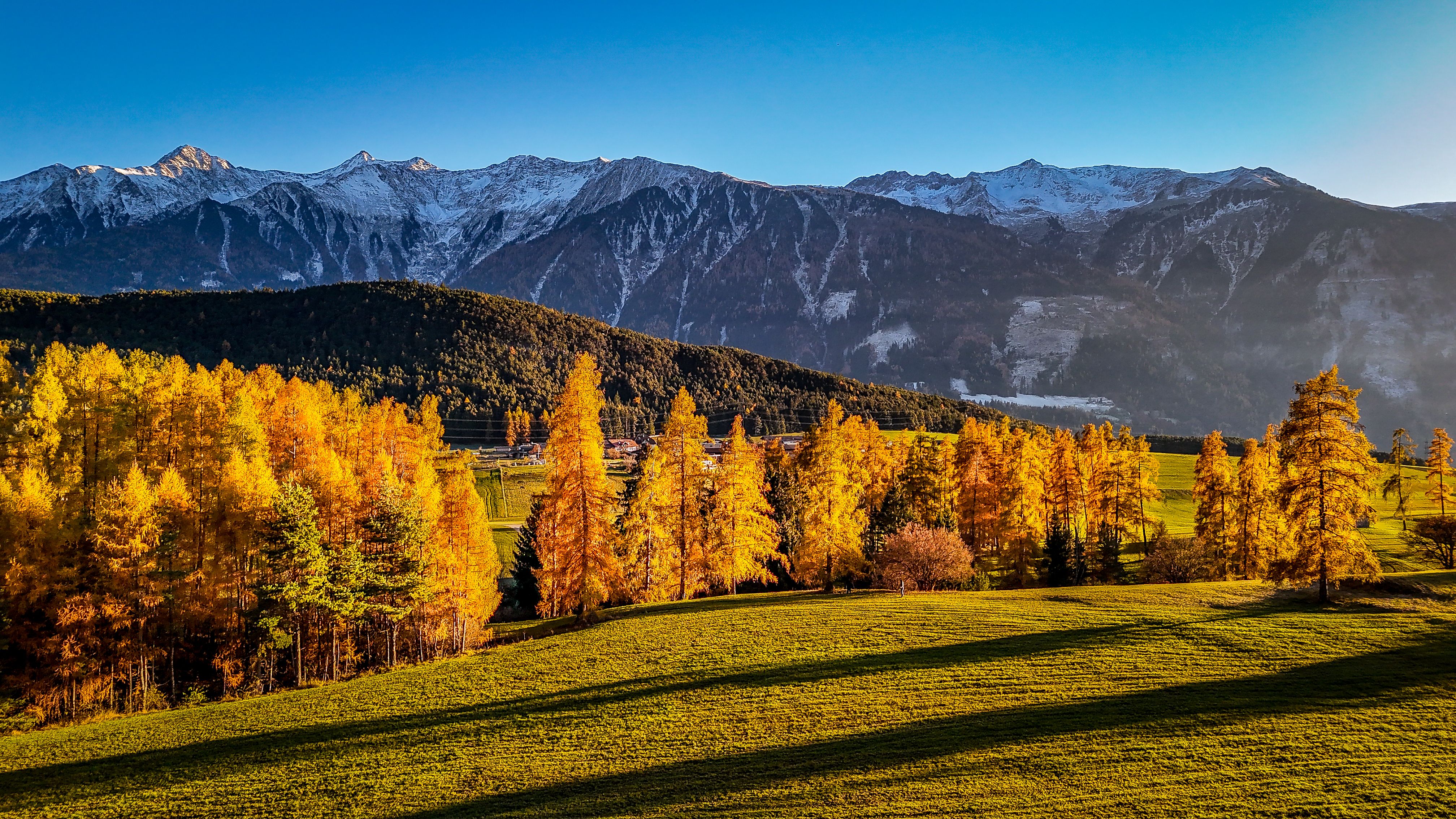 Mieminger Plateau Herbst, goldene Lärchen