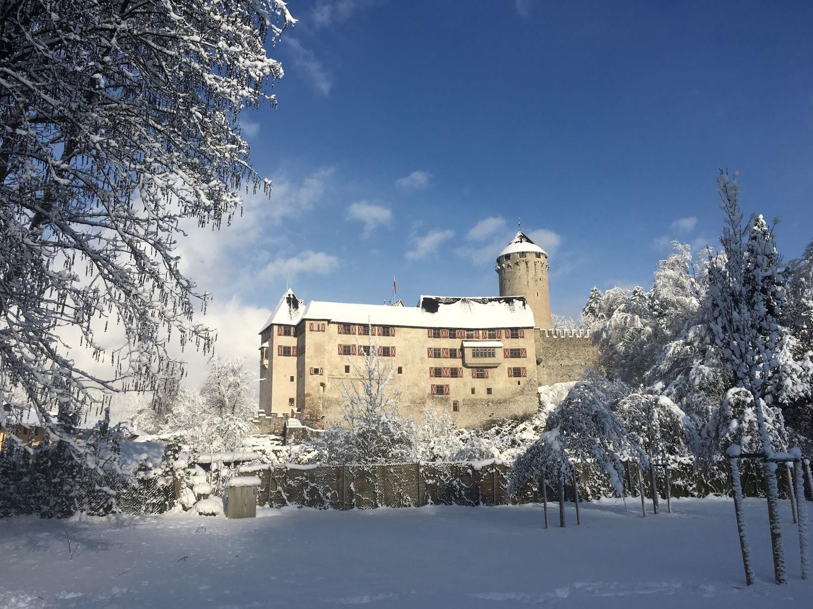 A snow-covered castle beneath a clear blue sky. Surrounded by snowy trees, the scene radiates a calm winter atmosphere.