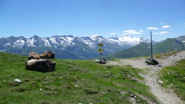 Innsbruck rondrit, Etappe 2: Mayrhofen - Weerberg, © Tirol Werbung