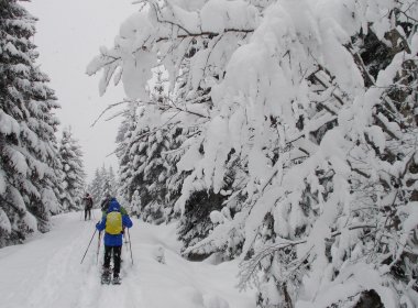 Wandelen met sneeuwschoenen bij Hochfilzen in het Pillerseetal. (Foto: Tirol Werbung)