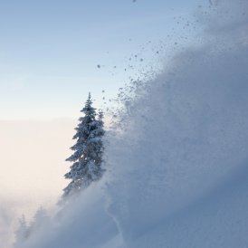 Winterlandschap, © Tirol Werbung/Michael Rathmayr
