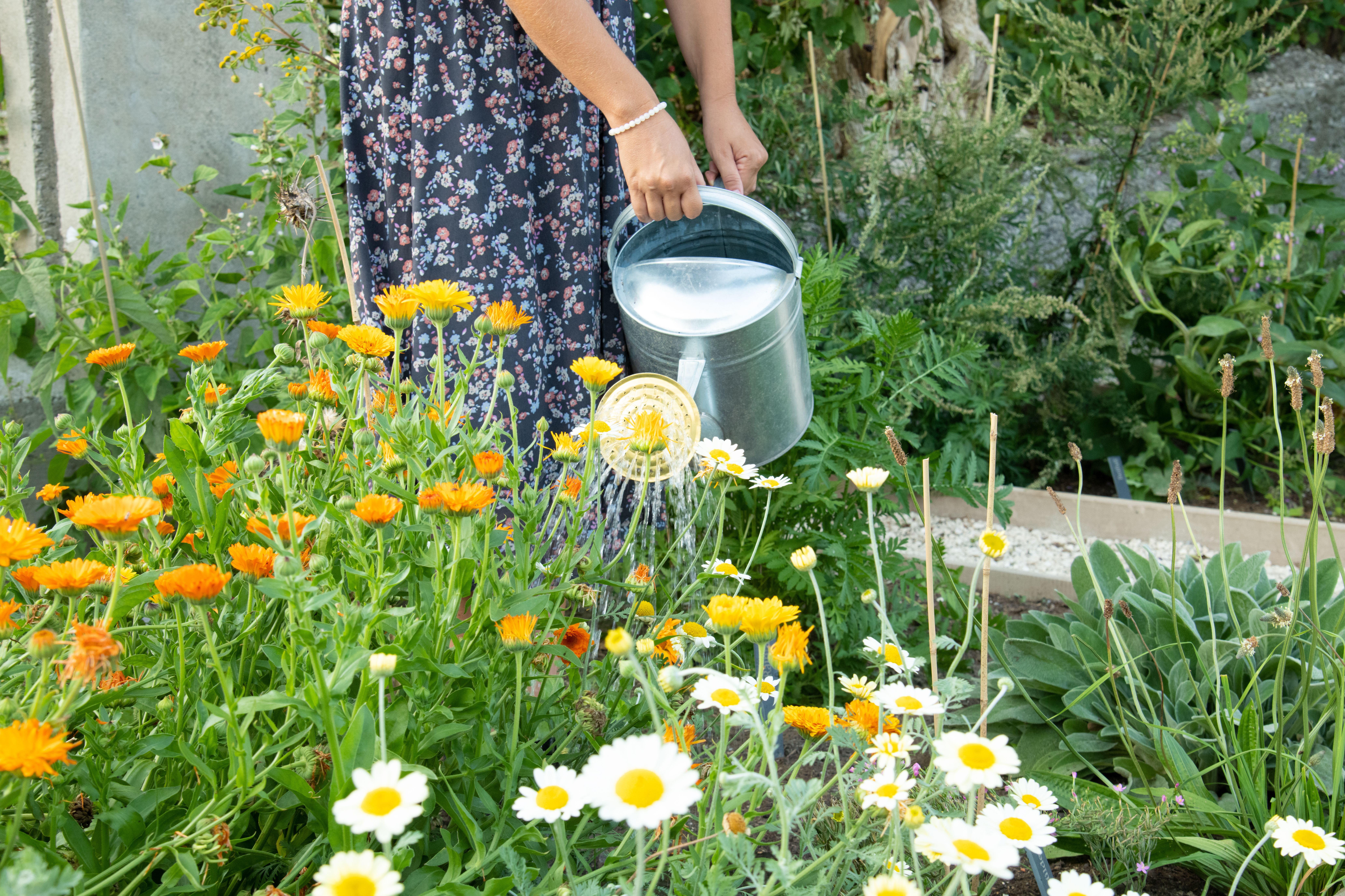 Glückskräutergarten St.Johann