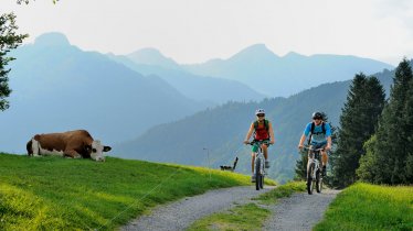 Mountainbiken Kaiserwinkl, © Tirol Werbung/Alexander Ziegler