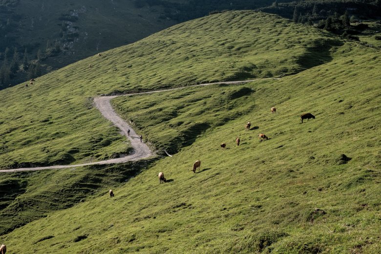 Steil en stenig: de weg naar het Plumsjoch in het Karwendelgebergte. Gravelbikes voelen zich hier in hun sas.