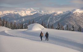 Sneeuwschoenwandelen &amp; Winterwandelen, © Tirol Werbung / Katharina Poblotzki 