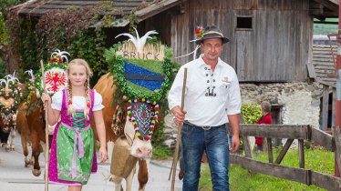 "Aufbischt": Festlich geschmückt kehren die Rinder von den Almen in der Ersten Ferienregion im Zillertal heim, © Erste Ferienregion im Zillertal / Walter Kraiger