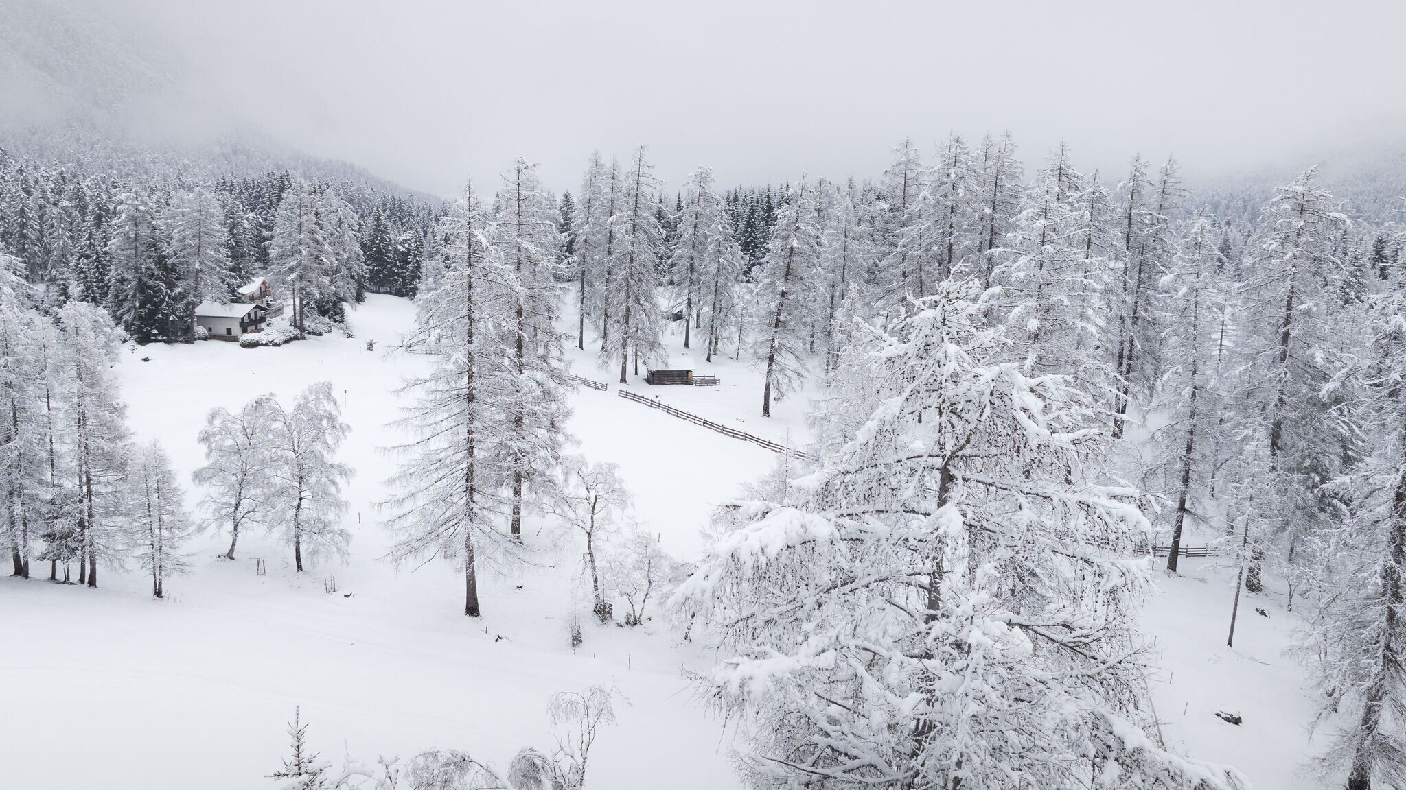 Oberer Wiesenweg bei Leutasch, tief verschneiter Wald