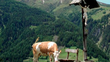 Uitzichtpunt met kruis, © Tirol Werbung