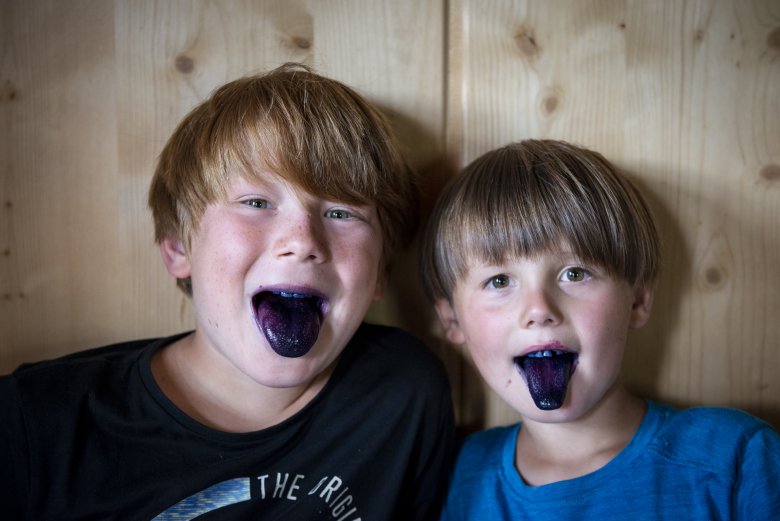 Gustav en Quirin met blauwe tongen van de blauwe bessen.