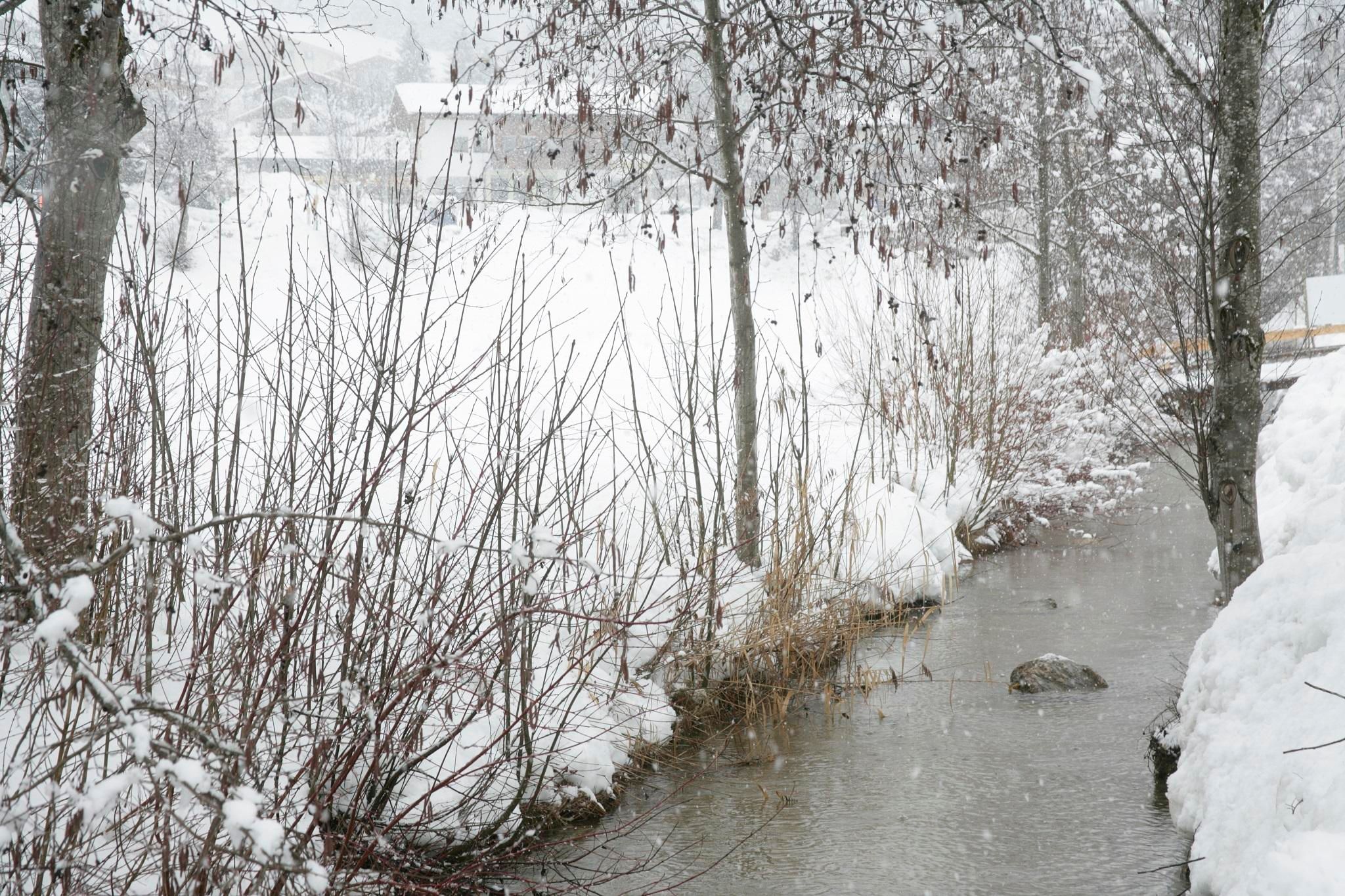 A snowy winter landscape with a small stream and bare trees. In the background, snow-covered meadows and houses can be seen.