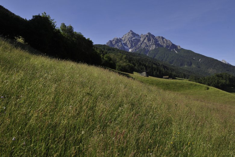 Gewoon een berg of toch de reuzenkoning Serles met zijn gevolg?  Foto: Tirol Werbung/Bernhard Aichner