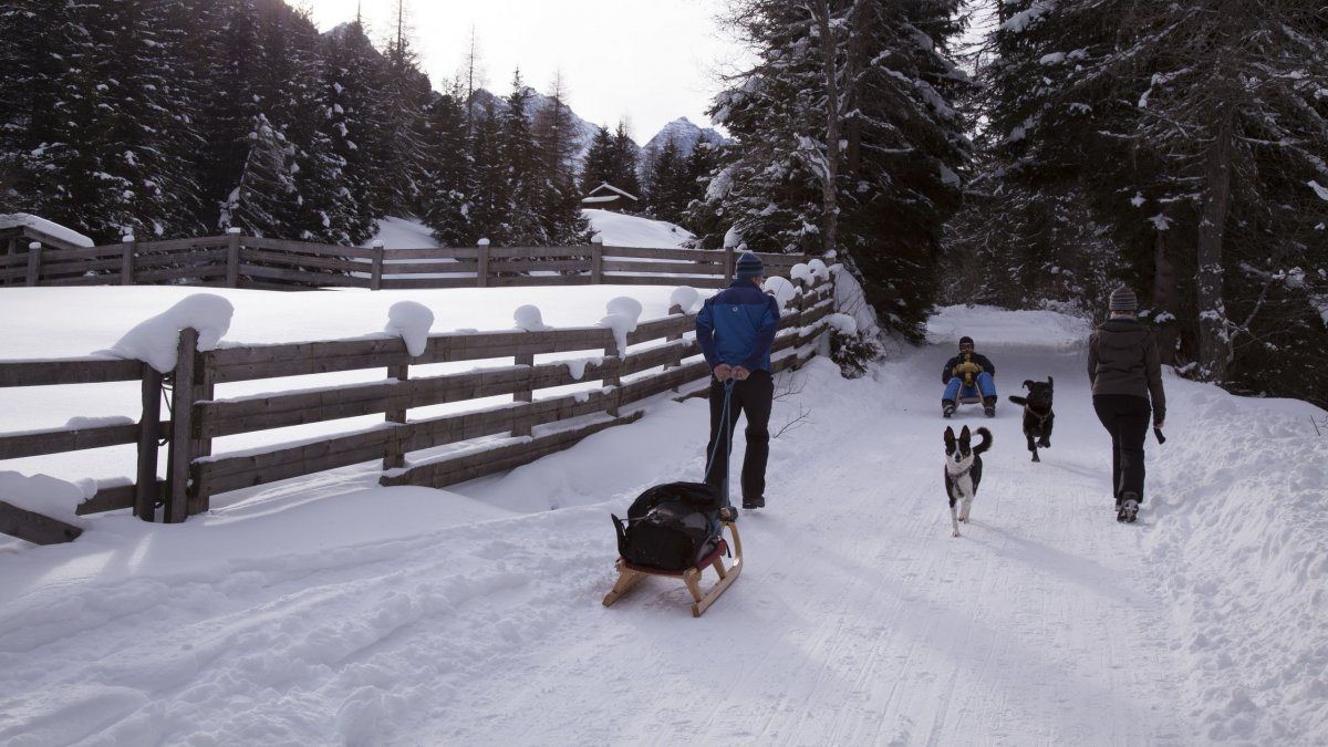 Rodelbaan Kemater Alm, Grinzens, © Tirol Werbung/Markus Jenewein