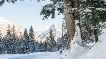Winterwandeling Falzthurnalm, © ÖW/Robert Maybach